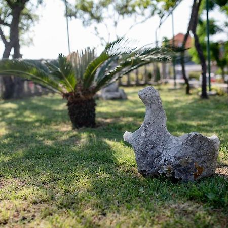 Apartman Marcela Palit エクステリア 写真